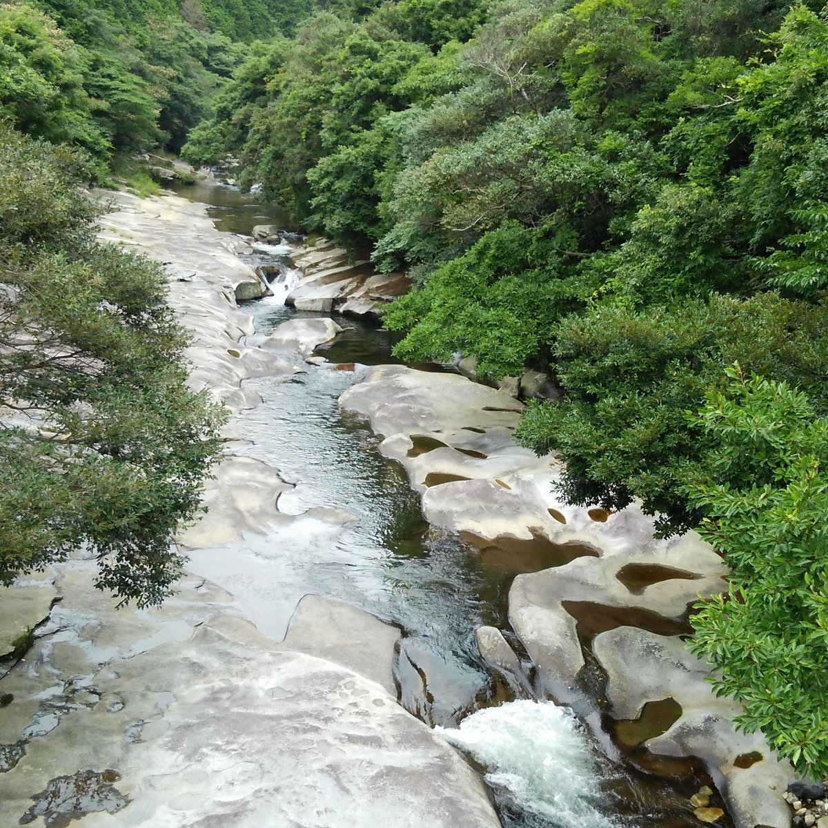 🏞️ 은어가 돌아오는 자연공원(아유모도시시젠코엔) 이미지 5